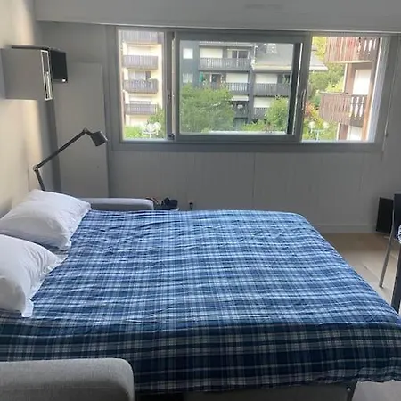 Centre 1 Piece+ Coin Montagne Chamonix